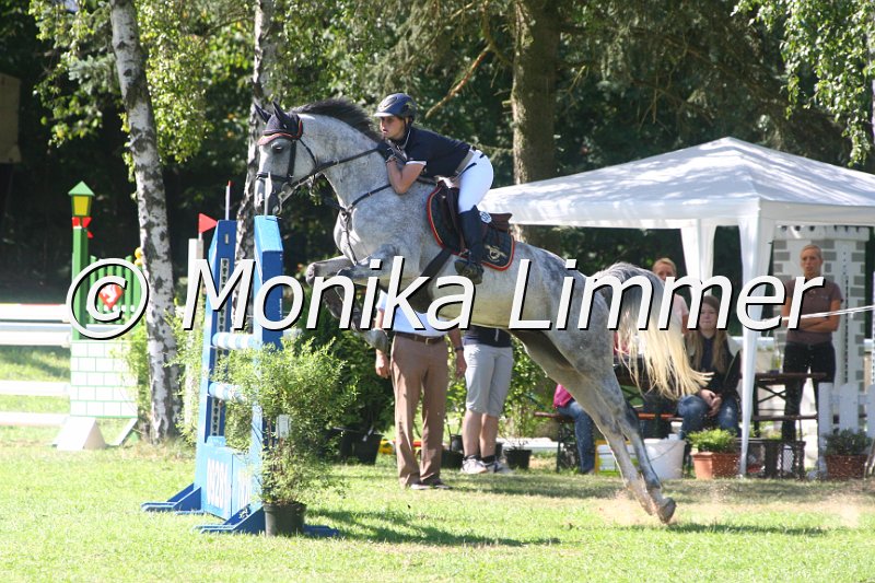 308M1539_Spring L.JPG